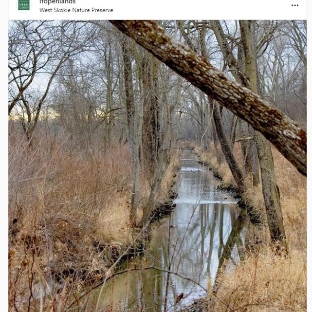 lovelflb @lfopenlands 12.28.2020